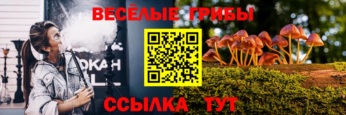 Псилоцибиновые грибы Cubensis  Вход с VPN  Ухта  Галлюциногенные грибы Psilocybine cubensis 